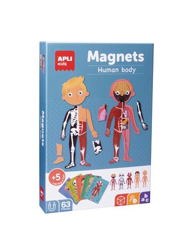CAJA MAGNETICO CUERPO HUMANO 63U 18531
