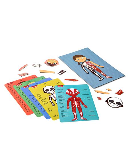 CAJA MAGNETICO CUERPO HUMANO 63U 18531