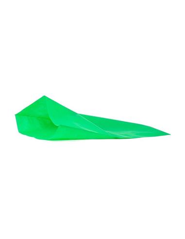 BOLSA DISFRAZ 56x70 TNT 60 GR. VERDE CL. B25