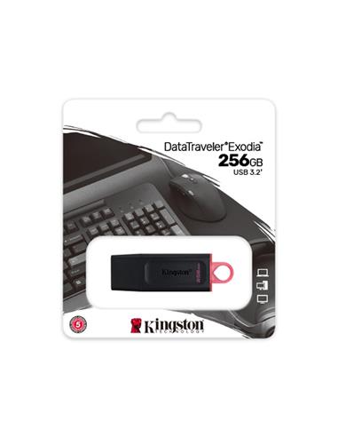 MEMORIA USB 256 GB. KINGSTON