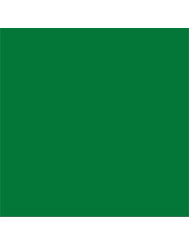 CARTULINA VERDE ABETO CANSON 200040239