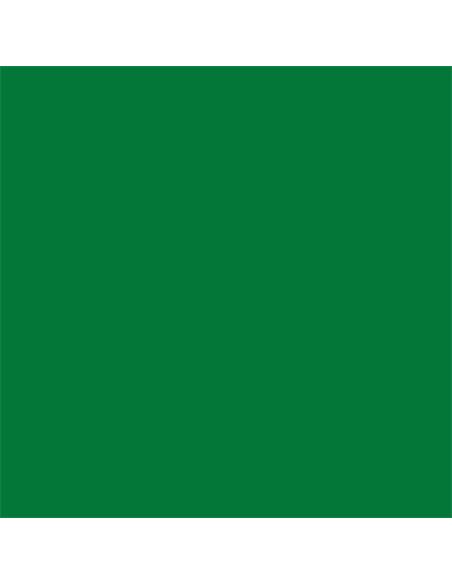 CARTULINA VERDE ABETO CANSON 200040239