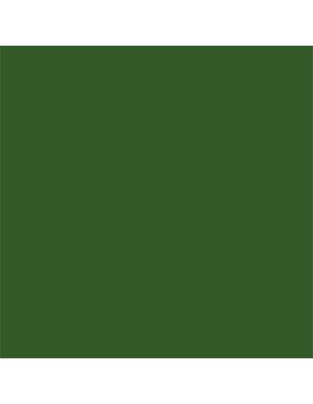 CARTULINA VERDE AMAZONAS CANSON 200040240