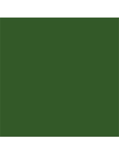 CARTULINA A3 CANSON V. AMAZONAS 200040210