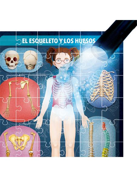 THE HUMAN BODY UNDER HEADU ES28153