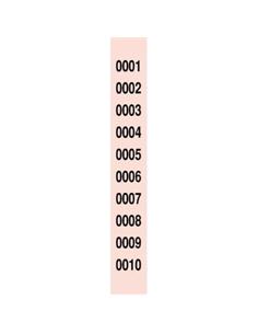 TIRAS RIFAS 1 AL 10000 R-980/10 LOAN 2