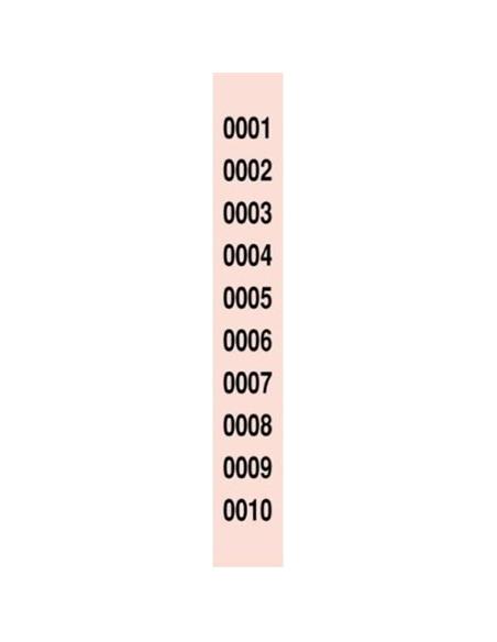 TIRAS RIFAS 1 AL 10000 R-980/10 LOAN